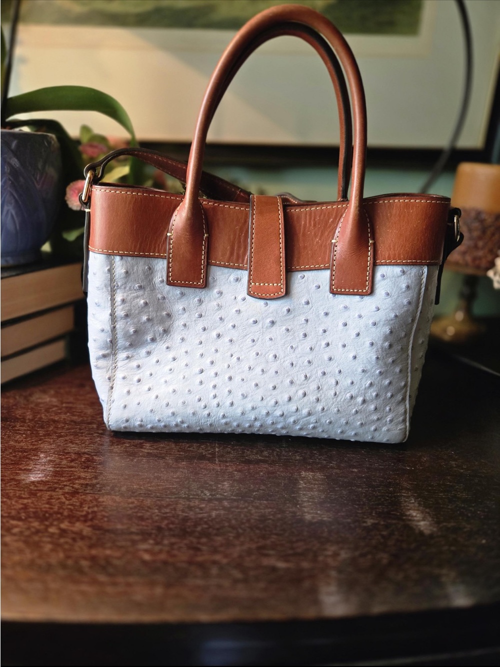 Dooney & Bourke
Beautiful light blue Ostrich 
Leather Satchel with Brown Triim - Picture 7 of 16